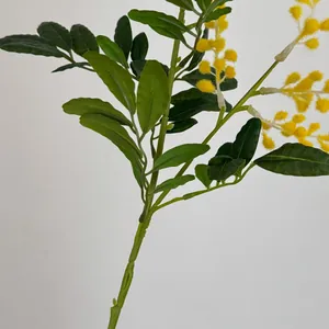 Branche de mimosa acacia jaune réaliste avec feuilles de plumes pour décoration intérieure