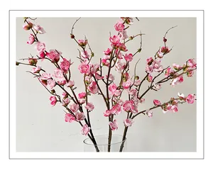 Detailed close-up of realistic pink plum blossoms with gradient petals in a glass vase