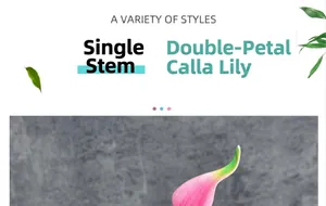 Macro detail of pink and green gradient double-petal calla lily faux flower stem