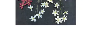 Vista piana di fiori di clematide a cinque teste in bordeaux, blu e crema