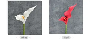 Detail of white and red Calla Lily petals with realistic textures and yellow spadix