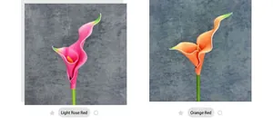 Detail view of light rose and orange-red EVA calla lilies with textured petals