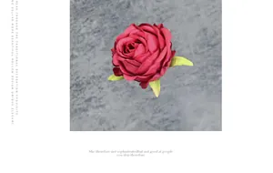 Detailed view of dark red artificial silk rose flower head with small green leaves