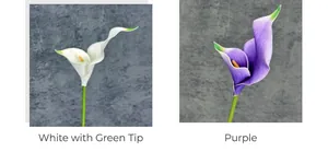 Detail view of artificial calla lilies in white-green and purple with realistic texture