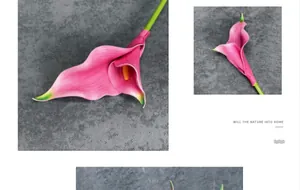 Close-up of pink and purple EVA calla lily with realistic petal textures and green stem