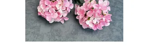 Close-up of pink silk snowball hydrangea with multilayer petals and detailed texture