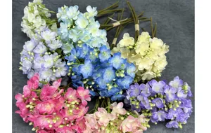 Overhead view of artificial jasmine bouquets in multiple colors on dark grey fabric