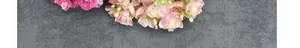 Detailed close-up of realistic dark pink and peach silk jasmine flowers for home decor
