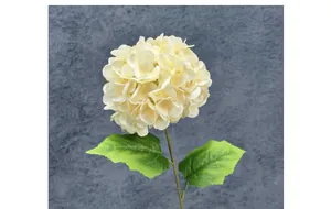 Detailed close-up of cream artificial hydrangea with 117 petals and textured green leaves