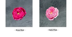 Dettaglio di boccioli di peonia artificiale in rosa rosso e rosa scuro per fai-da-te