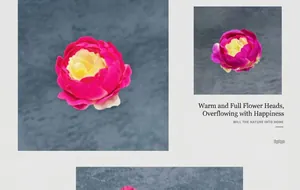 Dettaglio macro di testa di peonia artificiale con petali in seta sfumati rosa e giallo
