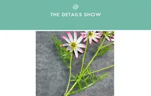 Detail show of pink and white silk daisy with green sepal and slender plastic stem