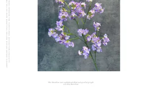 Detail of purple artificial Daphne flowers with green stems against a grey textured wall