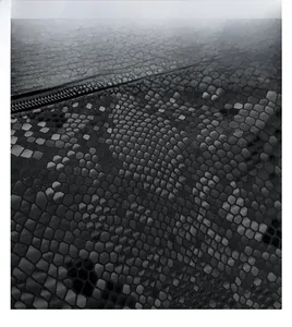 Close-up of black snakeskin pattern leather material and zipper detail on the bag