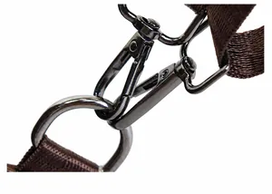 Detailansicht des gunmetal Karabiners am braunen Webband mit metallischem Glanz