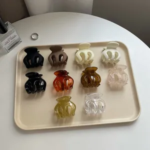 10-piece set of minimalist matte and transparent hair claws in assorted colors for women