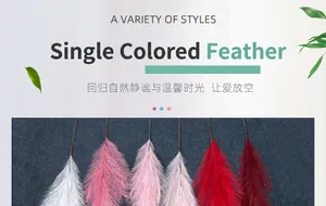 Vista detallada de plumas decorativas de colores en blanco rosa y rojo para bodas y hogar