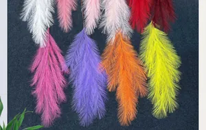 Detalle de hierba de la pampa artificial colorida y plumas para decoración de hogar
