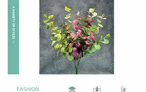 Detail of colorful eucalyptus leaves bundle with green, yellow and burgundy foliage decor