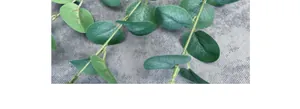 Primer plano de hojas de eucalipto realistas con venas detalladas y textura de tela verde