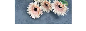 Primo piano dettagliato di tre fiori di gerbera artificiale rosa su sfondo grigio