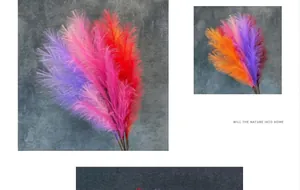 Primer plano de hierba de pampa artificial colorida con textura de plumas para decorar