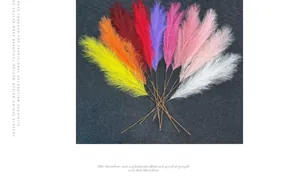 Vista detallada de plumas de caña artificiales de colores en varios tonos decorativos