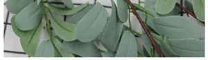 Dettaglio di foglie di arachide artificiali grigio-verde con venature decorative