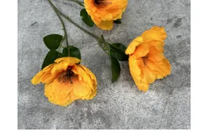 Detailansicht von drei naturgetreuen orangen Seidenmohnblumen mit fein strukturierten Blüten
