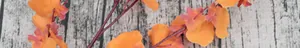 Macro detail of artificial orange dancing orchid petals with vibrant gradient colors