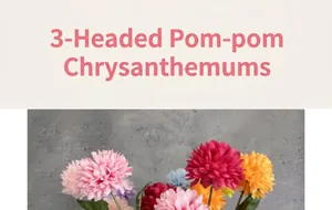 Detailed close-up of artificial 3-head pompon mum flowers in vibrant multiple colors