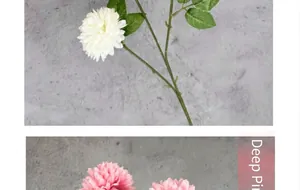 Detail of cream white and dark pink artificial globose chrysanthemums with green leaves