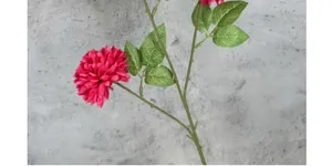 Close-up of deep pink artificial pompon chrysanthemum with detailed green leaves and stem