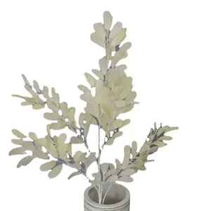 Pianta di foglie di arachidi in vaso di ceramica bianca per decoro domestico