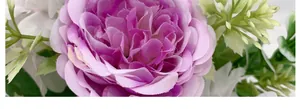 Macro view of realistic pink and purple peony petals with natural fabric texture details