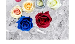 Vista dettagliata di teste di rose artificiali multicolore su sfondo di ghiaccio tritato