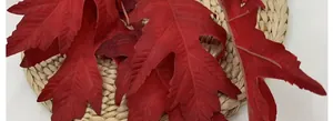 Close-up of deep red artificial oak leaves with jagged edges and realistic veins