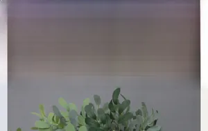 Close-up of artificial 5-fork peanut leaves with grey-green foliage for home decor