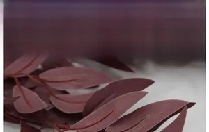 Close-up of artificial willow leaves in dark purple silk fabric with clear texture