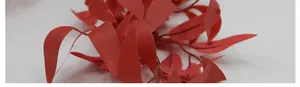 Vue macro détaillée de feuilles d'eucalyptus artificielles rouge foncé avec textures réelles