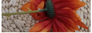 Detailed macro view of the artificial gerbera flower head base and stem joint