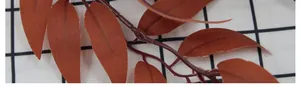 Macro shot of artificial willow leaves with detailed texture in warm autumn orange brown