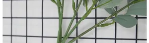 Macro shot of artificial multi-fork stems and frosted grey-green leaves with realistic textures