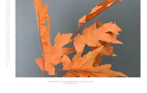 Detailed close-up of realistic orange autumn oak leaves with serrated edges and clear texture