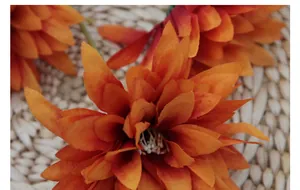 Detailed macro view of orange artificial dahlia flowers with realistic layered fabric petals