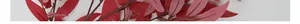 Detail of lifelike long willow leaves in dark red and pink tones for home decor
