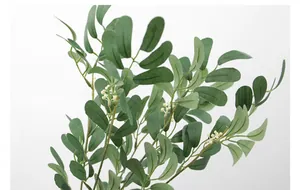 Close-up of artificial peanut leaves with realistic green textures and white berries