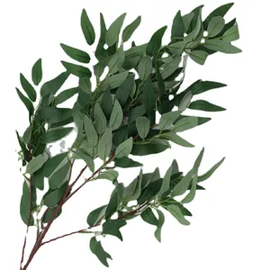 Realistic long willow leaf branch for wedding and home decoration on white background