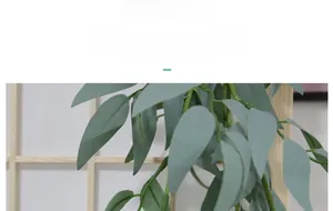 Detail of faux eucalyptus leaves with natural veins on light wood grid background