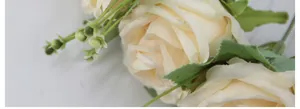 Primer plano detallado de pétalos de rosa de seda crema con hojas verdes y capullos realistas